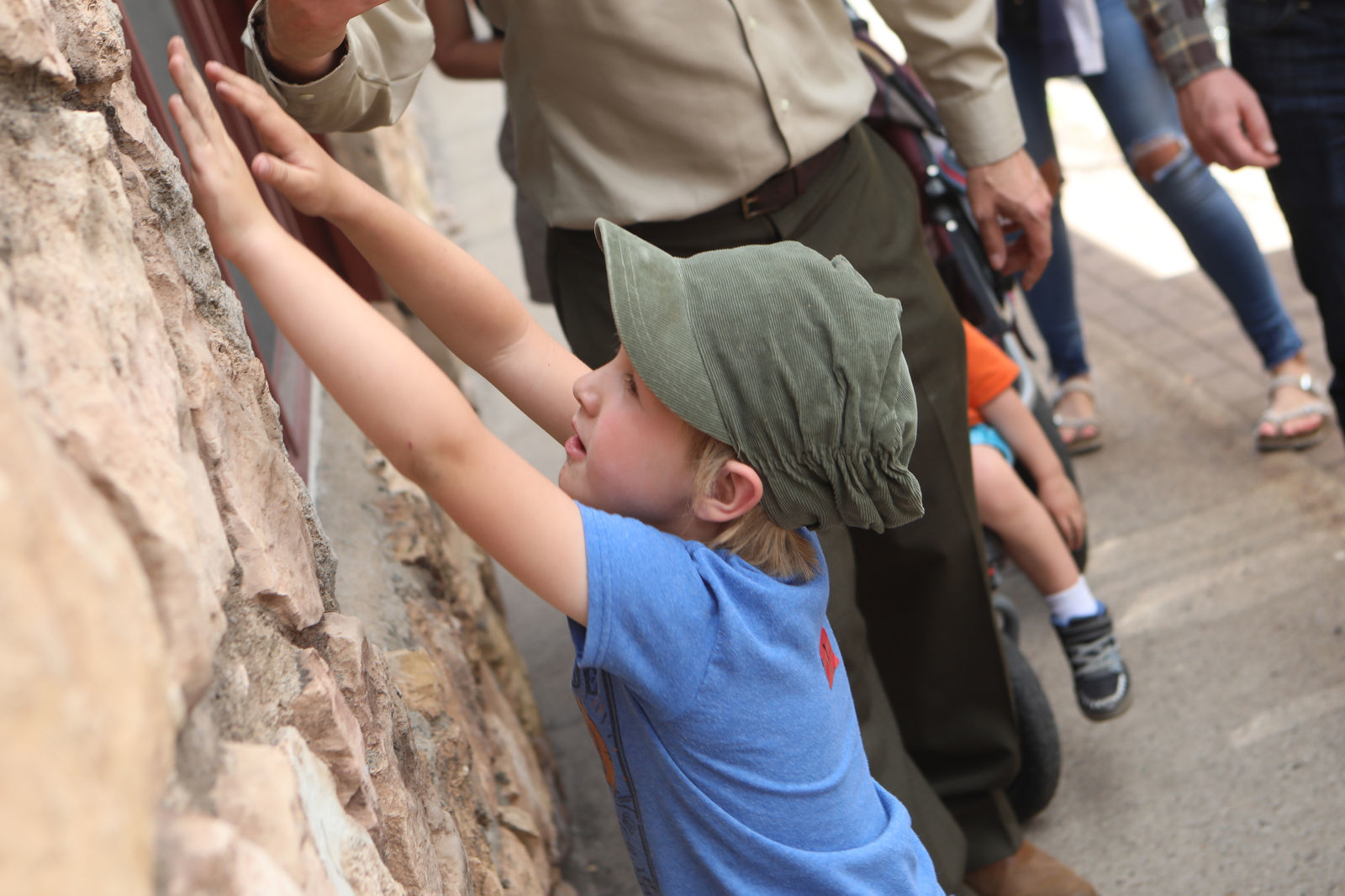 Finding The Fossil
